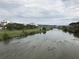 IMG_7002.jpg