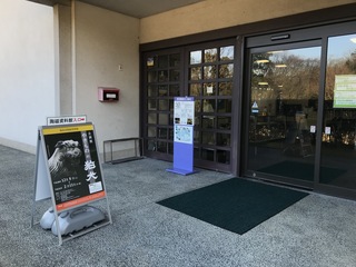 IMG_8457.jpeg