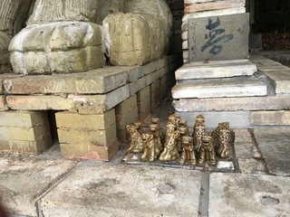 IMG_0706.jpg