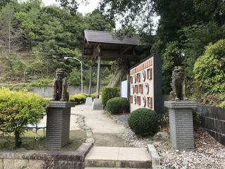 IMG_0709.jpg