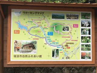 IMG_1624.jpeg