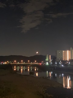 IMG_1704.jpeg