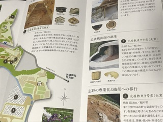 IMG_3065.jpeg