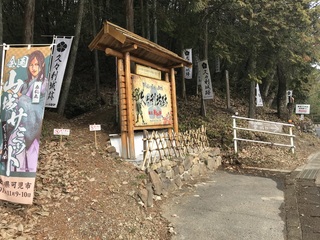IMG_3322.jpeg