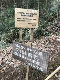 IMG_3324.jpeg