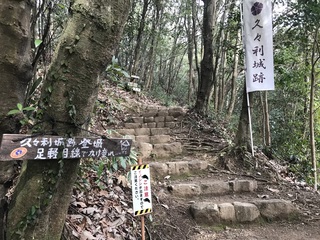 IMG_3331.jpeg