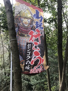 IMG_3338.jpeg