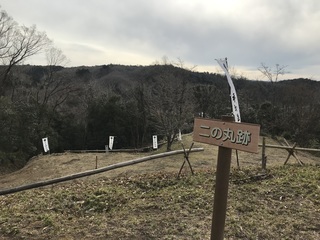 IMG_3361.jpeg