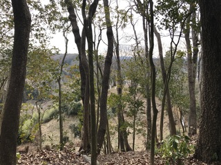 IMG_3436.jpeg