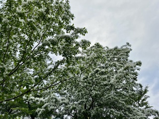 IMG_3873 2.jpeg