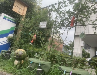 IMG_4925.jpeg