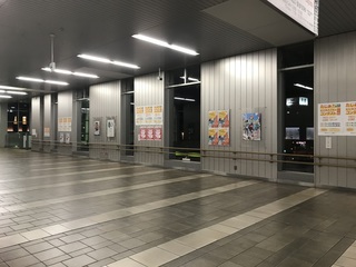 IMG_5248.jpeg