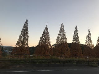 IMG_5686.jpeg