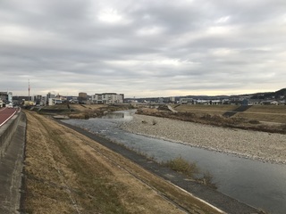 IMG_5941.jpeg