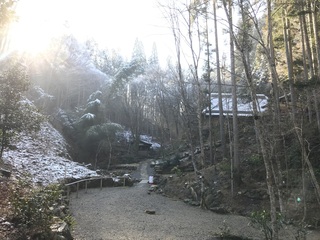 IMG_6342.jpeg