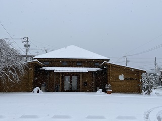 IMG_7067.jpeg