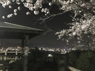 IMG_7447.jpeg