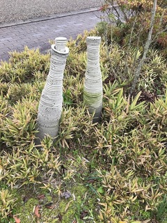 IMG_7910.jpeg