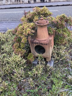 IMG_7911.jpeg