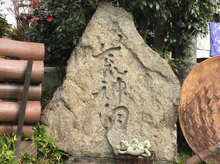 IMG_7940.jpeg