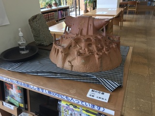 IMG_7993.jpeg
